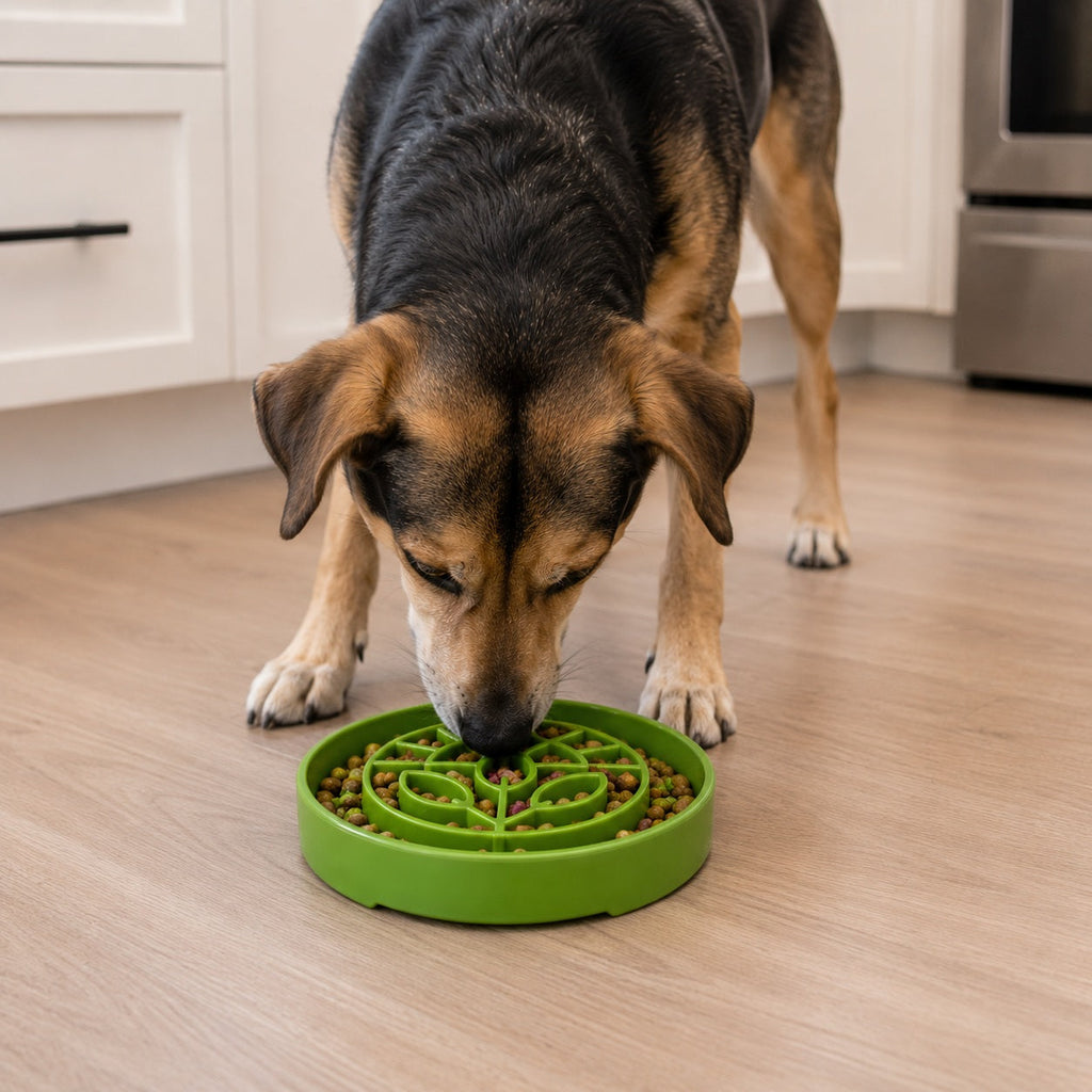 Garden Design eTray - Shallow Slow Feeder Dog Bowl for Enrichment | USA by SodaPup/True Dogs, LLC