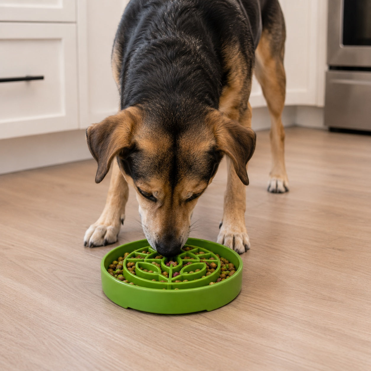 Garden Design eTray - Shallow Slow Feeder Dog Bowl for Enrichment | USA by SodaPup/True Dogs, LLC
