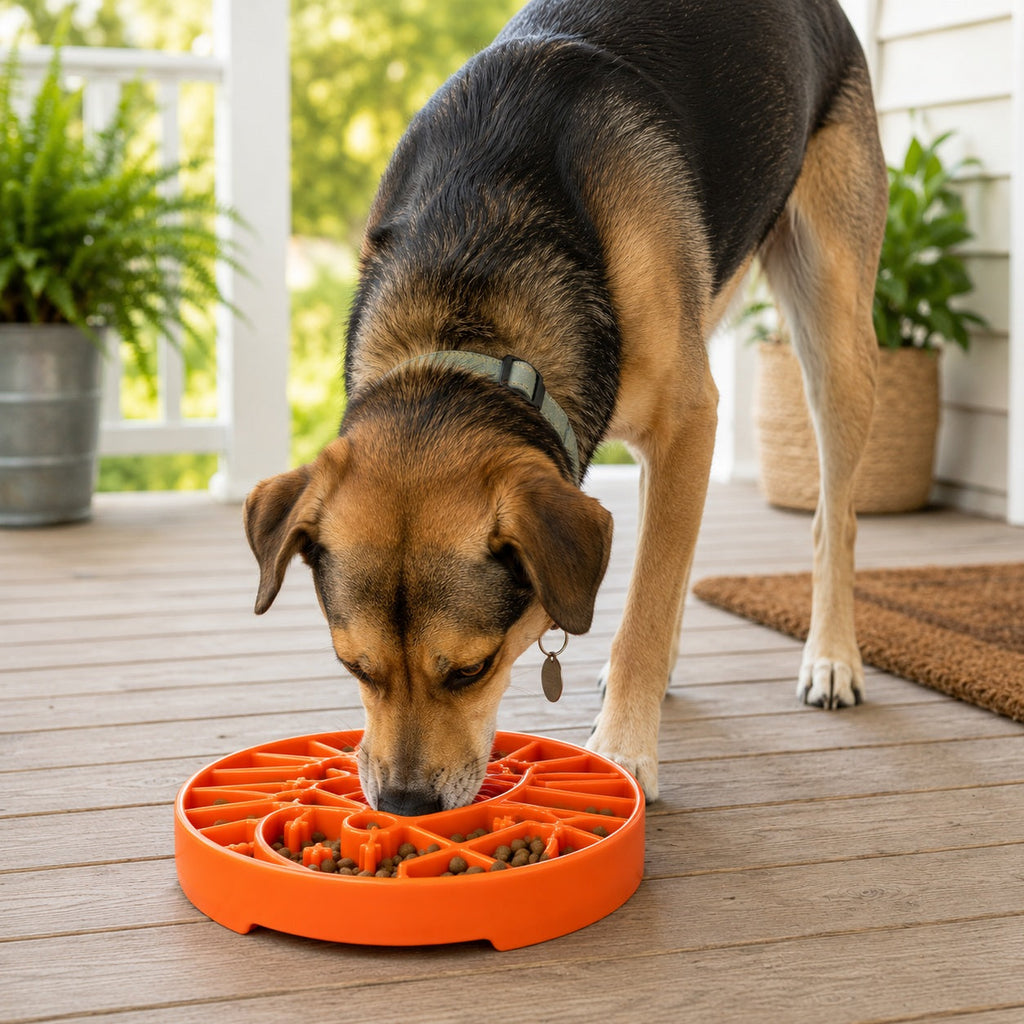 Sun and Moon eTray - Shallow Slow Feeder Dog Bowl for Enrichment | USA Made by SodaPup/True Dogs, LLC
