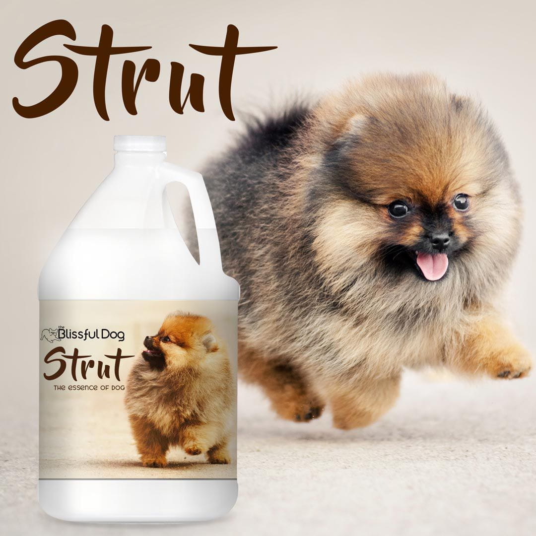 Strut Dog Cologne for the Ruler of the Kingdom by The Blissful Dog