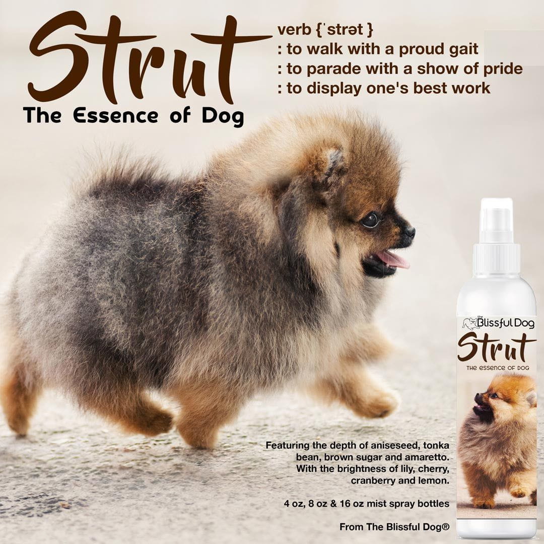 Strut Dog Cologne for the Ruler of the Kingdom by The Blissful Dog