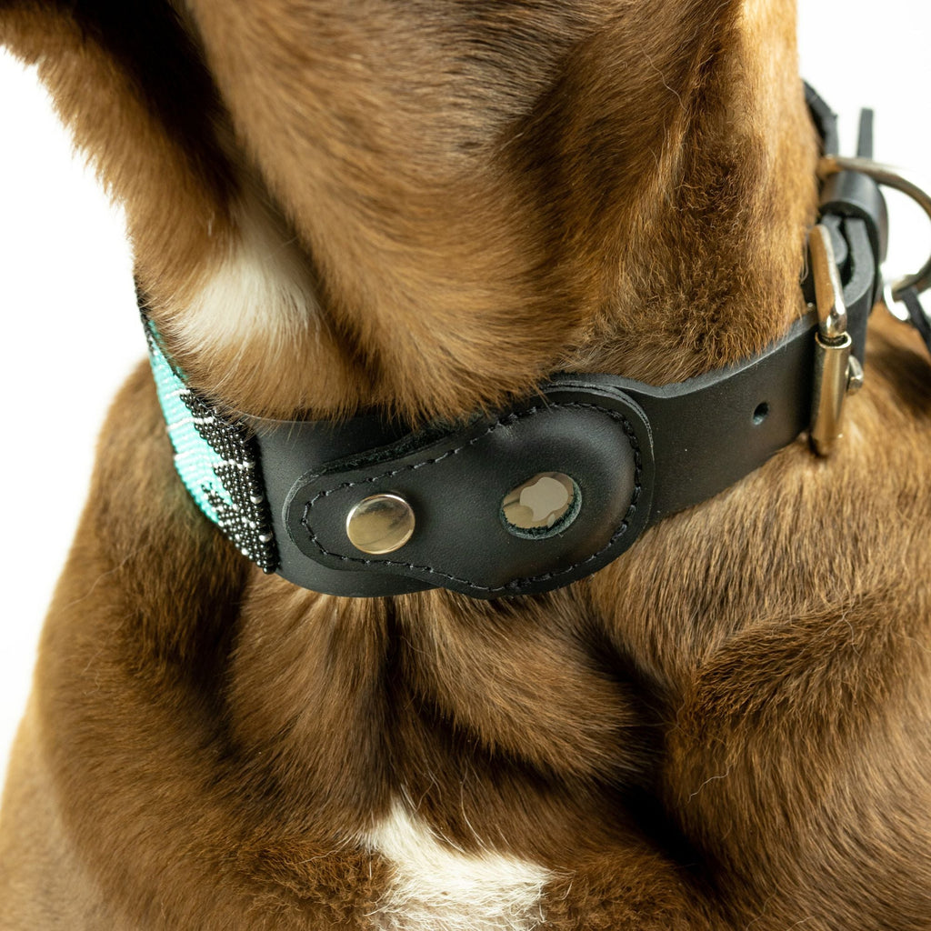 Saint Barth Sambboho dog collar (with AirTag holder) by Sambboho