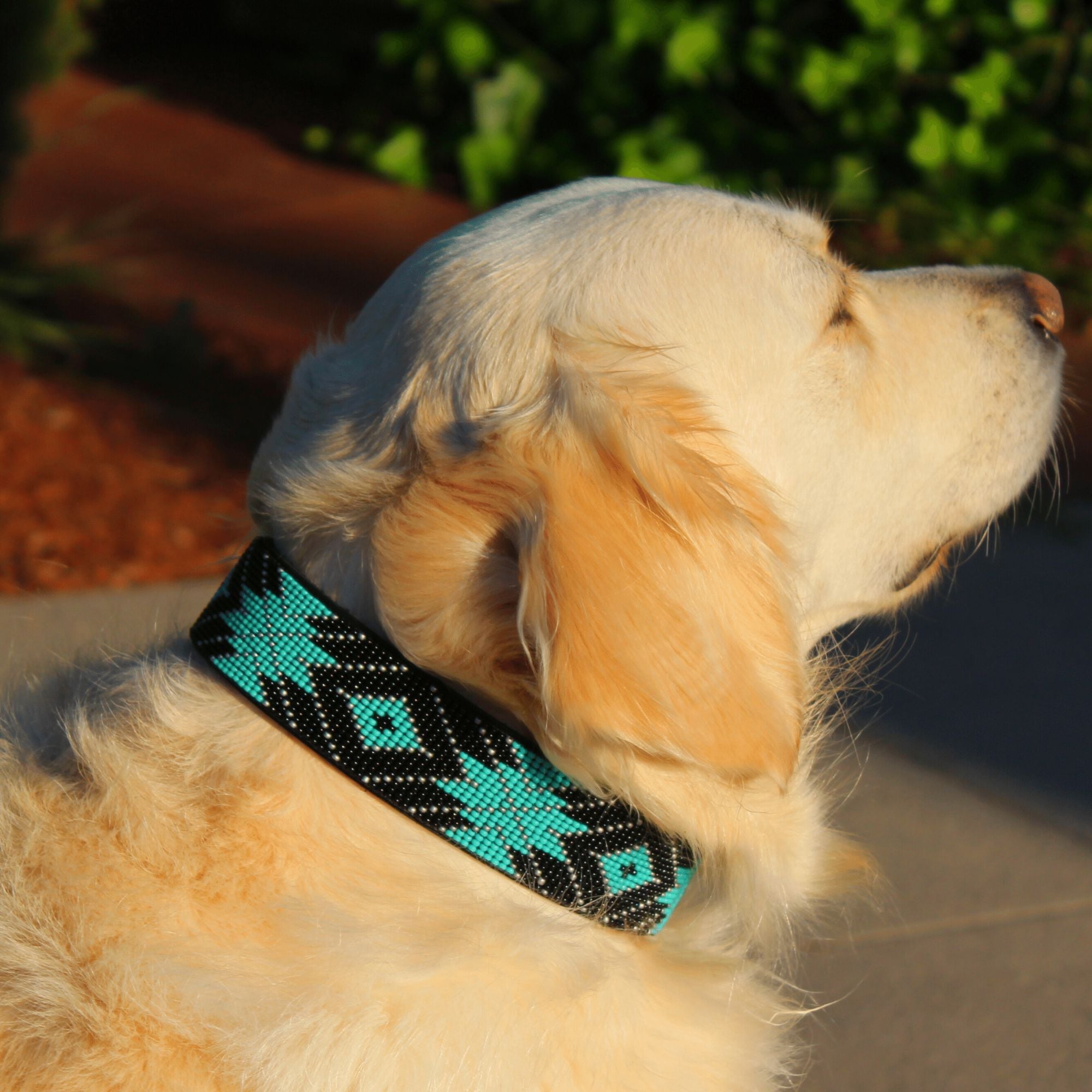 Saint Barth Sambboho dog collar (with AirTag holder) by Sambboho