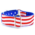 Stars and Stripes – Exclusive Martingale Dog Collar by 2 Hounds Design