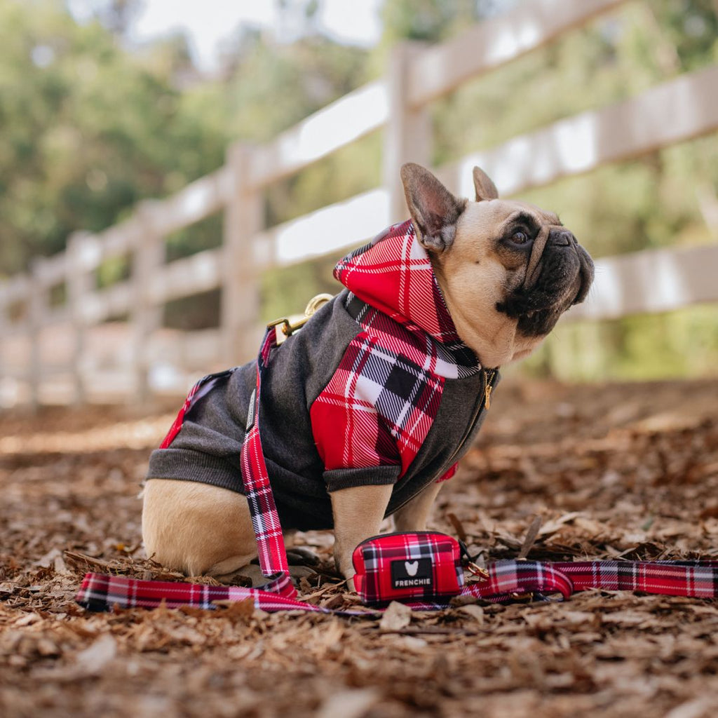 Frenchie Dog Hoodie - Scarlet Plaid by Frenchie Bulldog