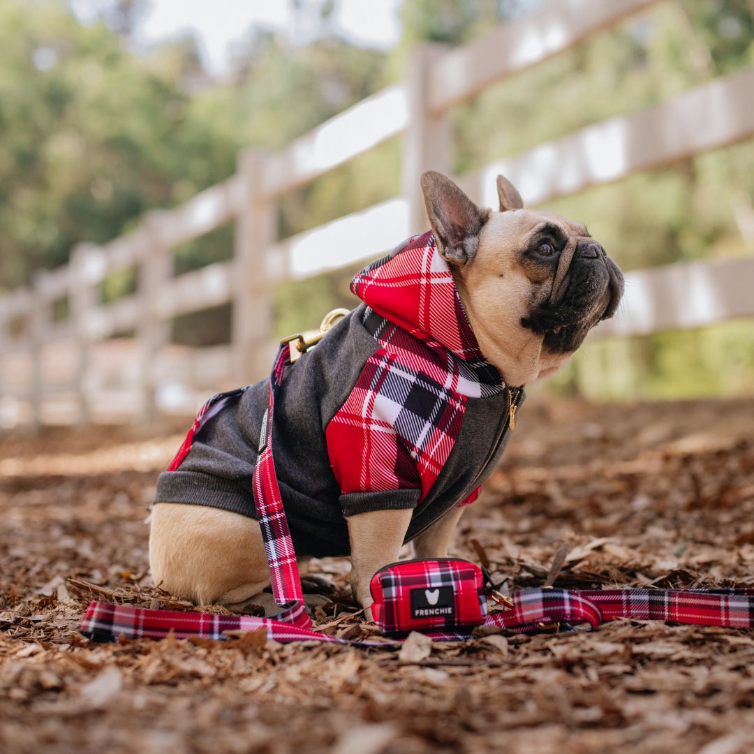 Frenchie Dog Hoodie - Scarlet Plaid by Frenchie Bulldog