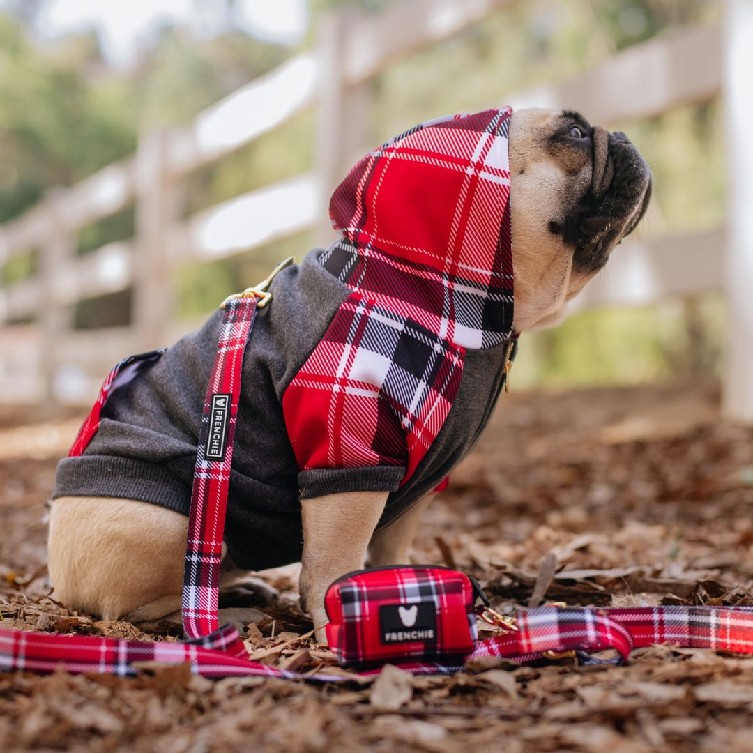 Frenchie Dog Hoodie - Scarlet Plaid by Frenchie Bulldog