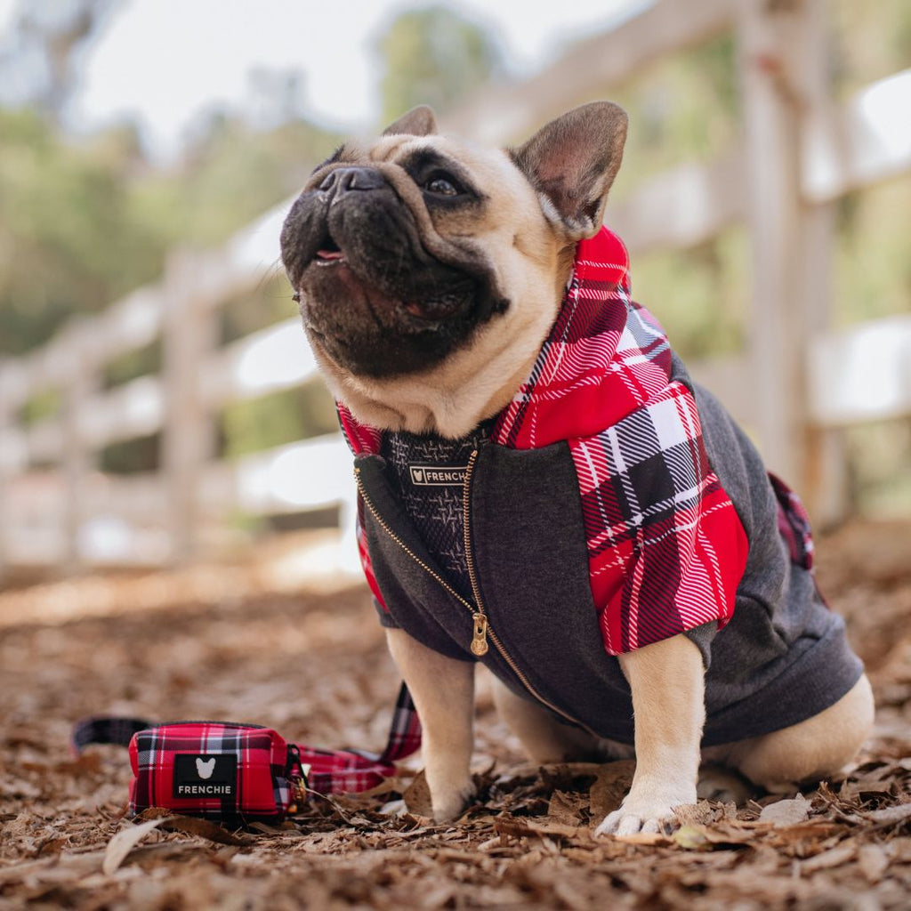 Frenchie Dog Hoodie - Scarlet Plaid by Frenchie Bulldog