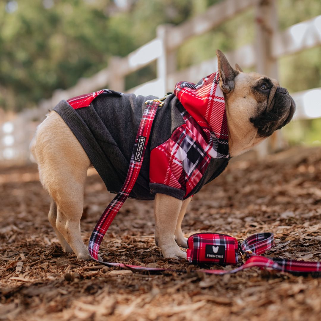 Frenchie Dog Hoodie - Scarlet Plaid by Frenchie Bulldog