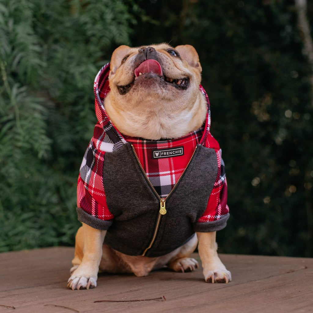 Frenchie Dog Hoodie - Scarlet Plaid by Frenchie Bulldog
