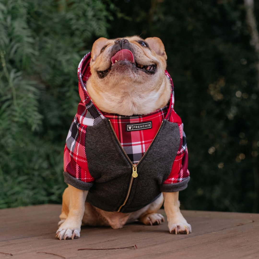 Frenchie Dog Hoodie - Scarlet Plaid by Frenchie Bulldog