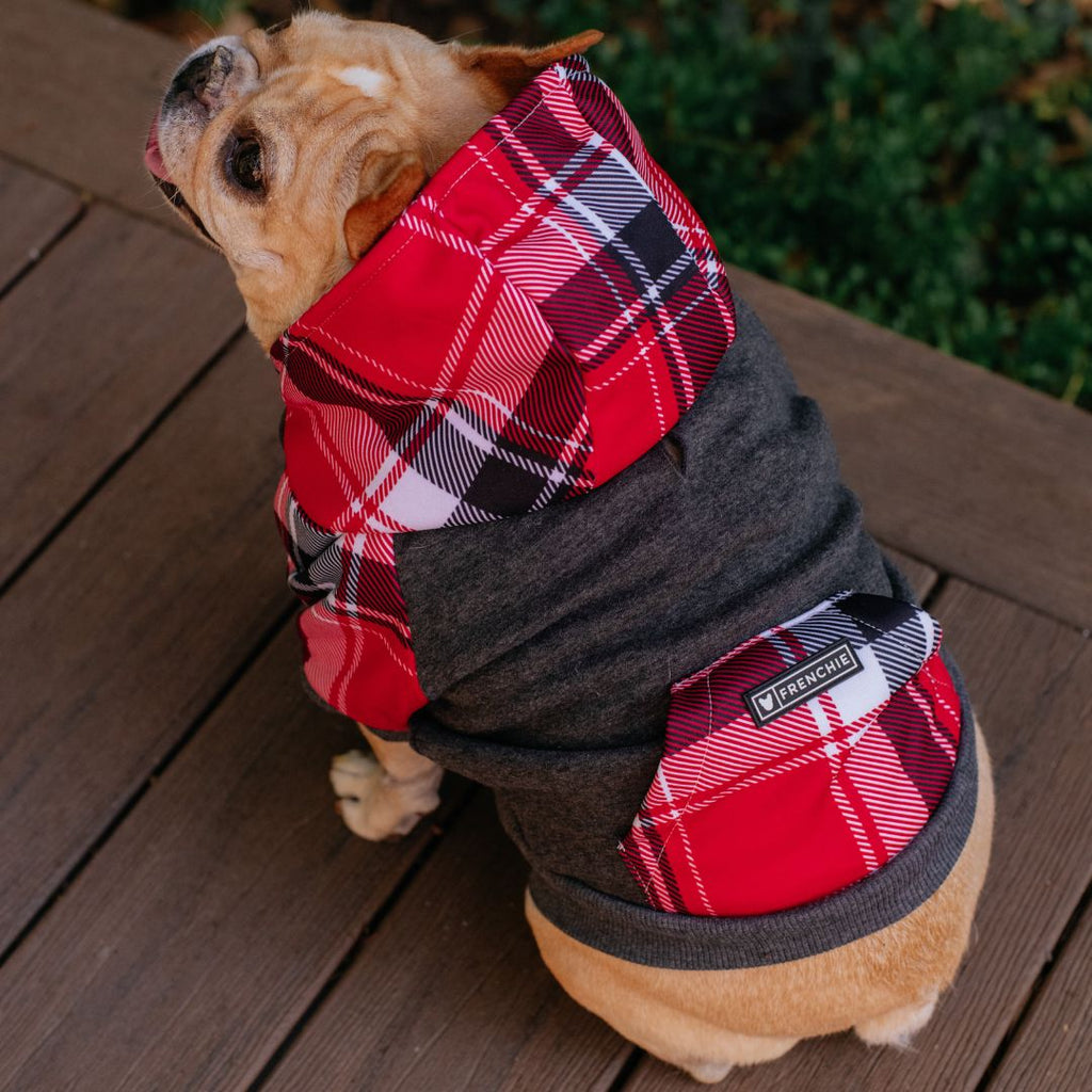 Frenchie Dog Hoodie - Scarlet Plaid by Frenchie Bulldog