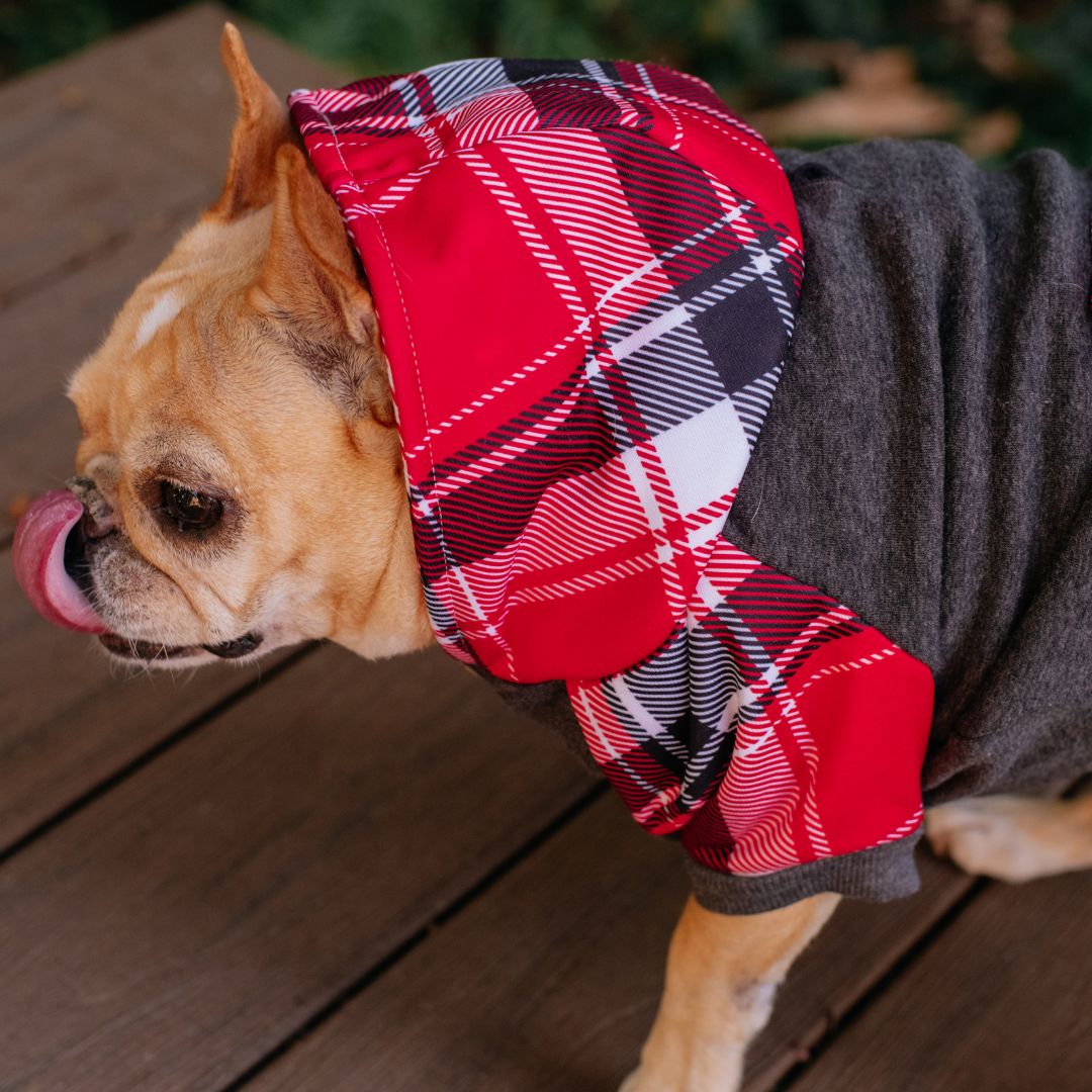 Frenchie Dog Hoodie - Scarlet Plaid by Frenchie Bulldog