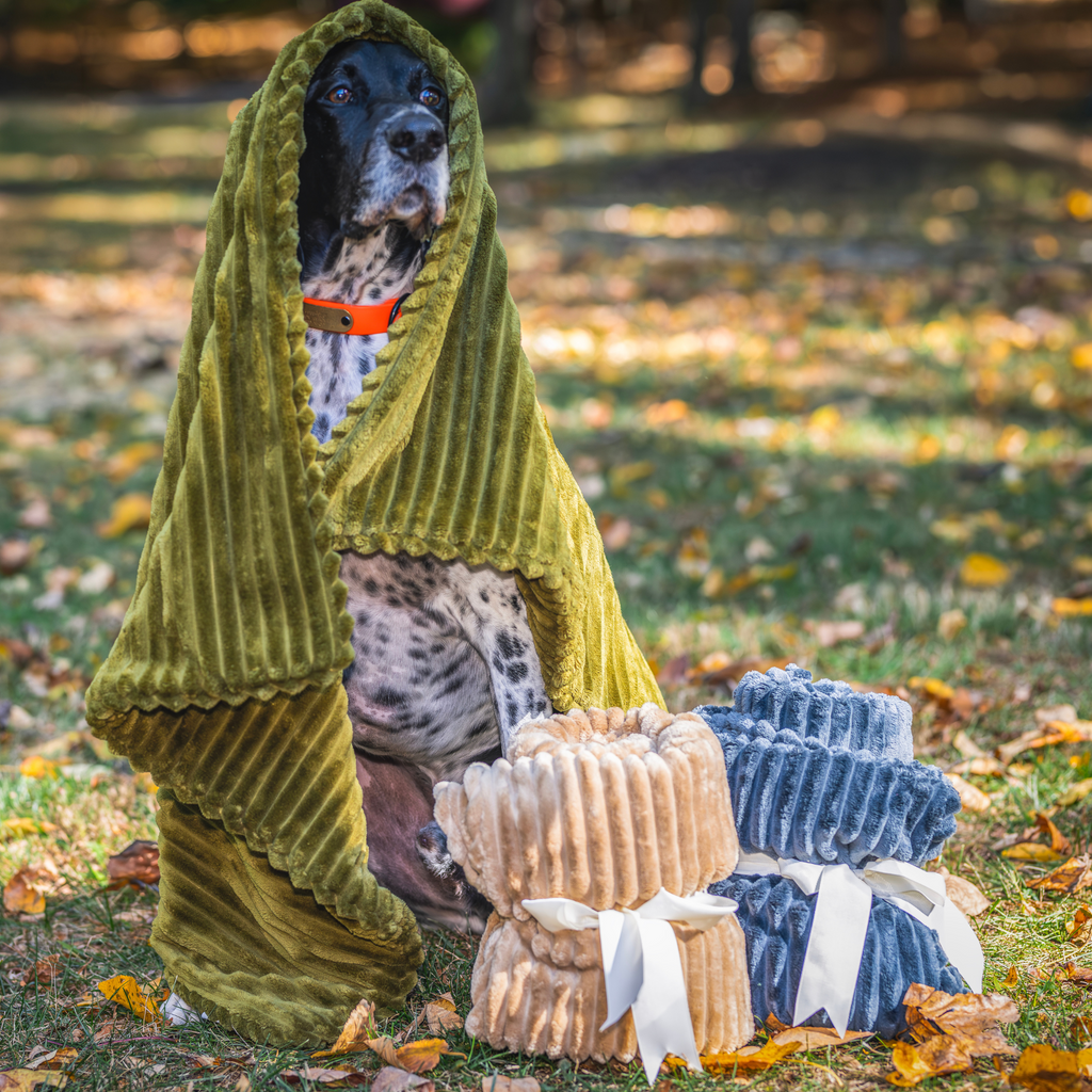 Scout Blankie Double-Sided Plush Dog Blanket by HuggleHounds
