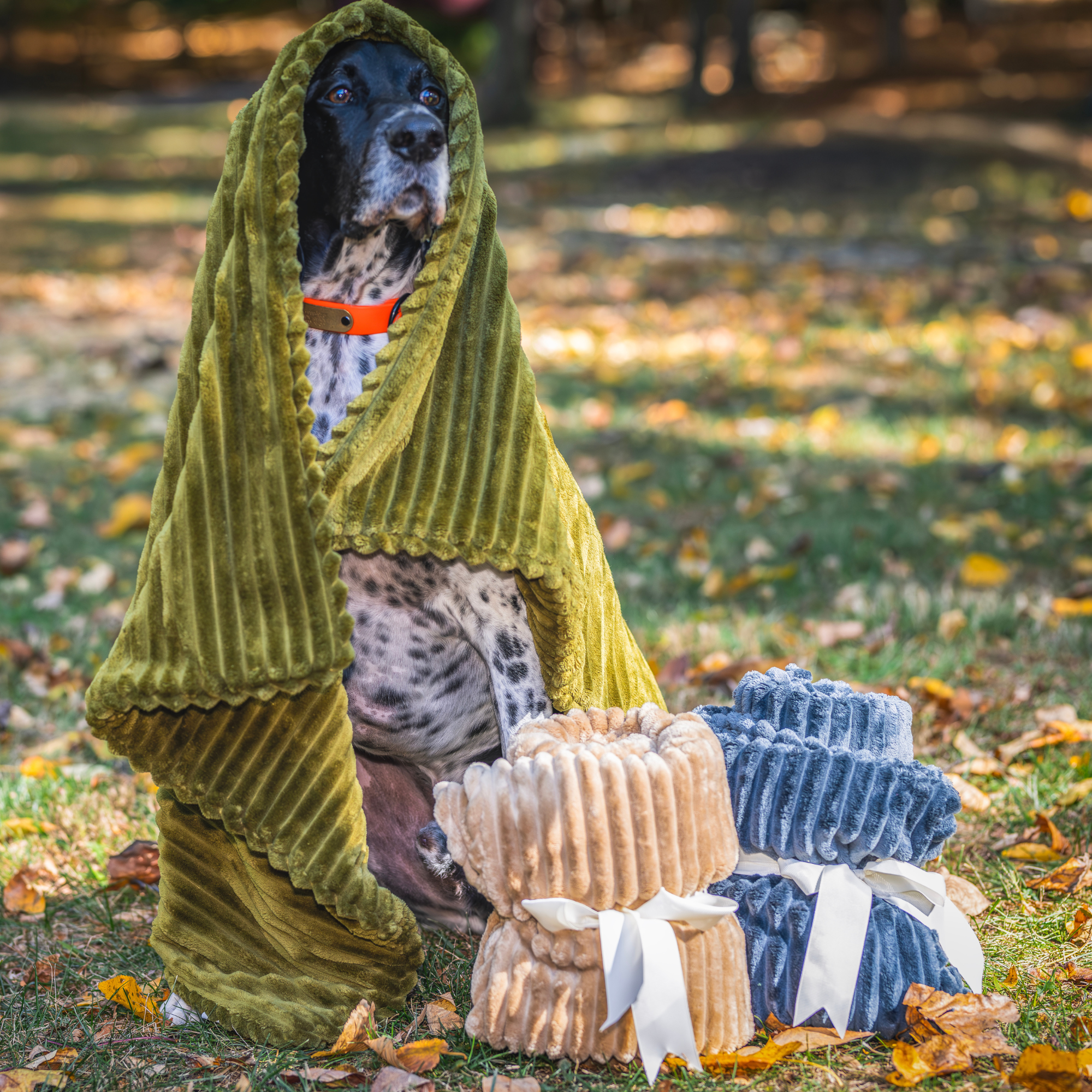 Scout Blankie Double-Sided Plush Dog Blanket by HuggleHounds