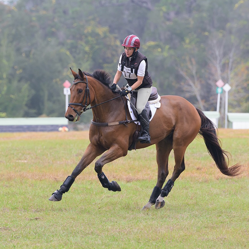PRO4MANCE | # I.D. - White (Qty. 2, 4-digit) by ACE Equestrian
