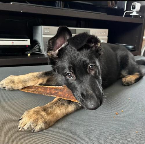 12 Inch Beef Jerky Strip by Bully Bunches