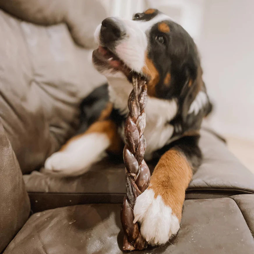 12 Inch Braided Jerky Stick by Bully Bunches
