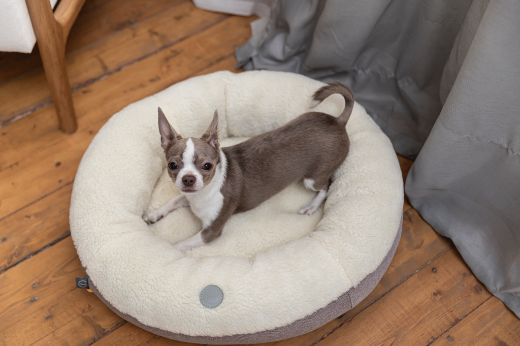 Chester & Lee | Furry Beige Donut Dog Bed by Chester & Lee
