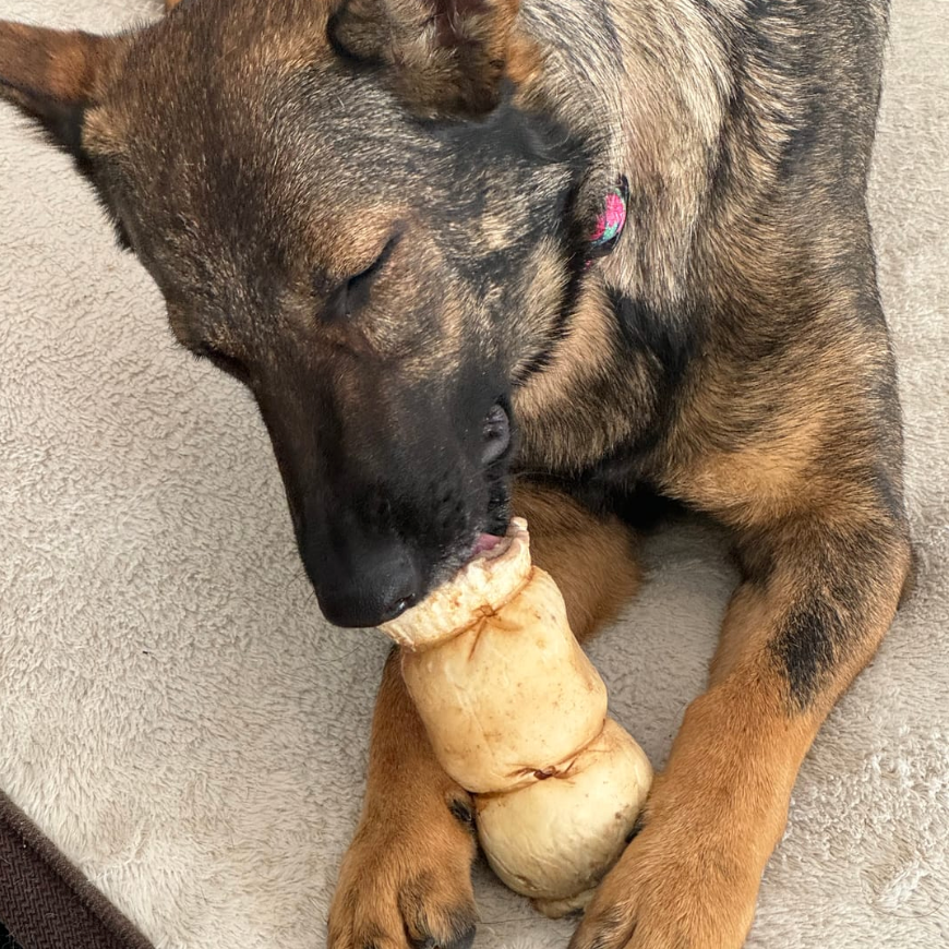 5-6 Inch Peanut Butter Cheek Roll by Bully Bunches
