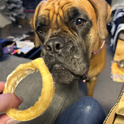 Beef Backstrap Ring by Bully Bunches