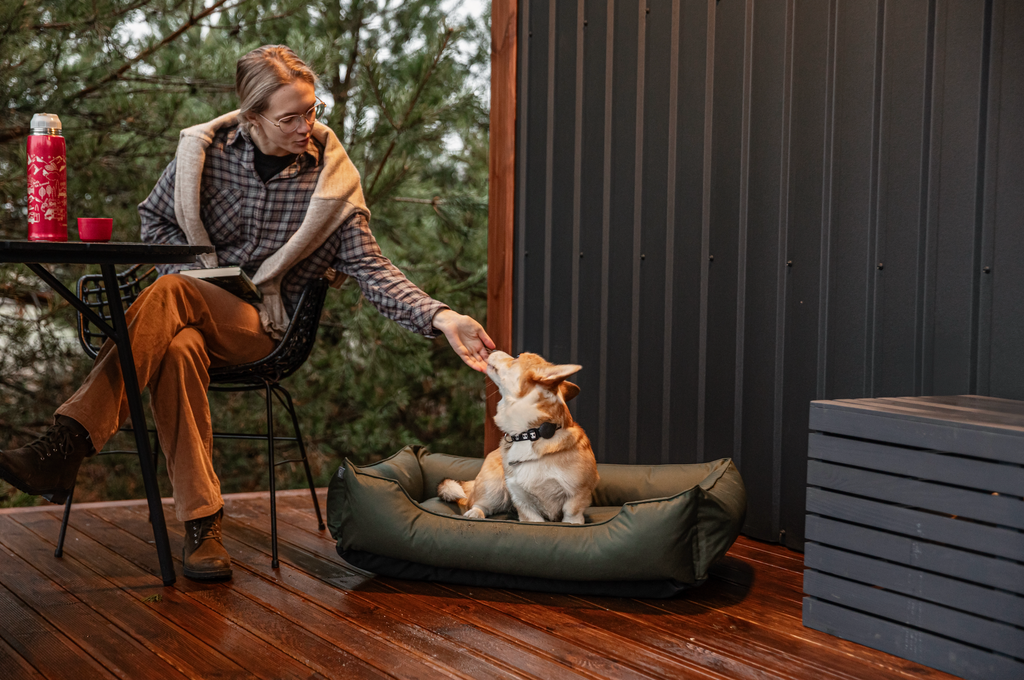 Chester & Lee | Waterproof Sleeper Dog Bed Green by Chester & Lee