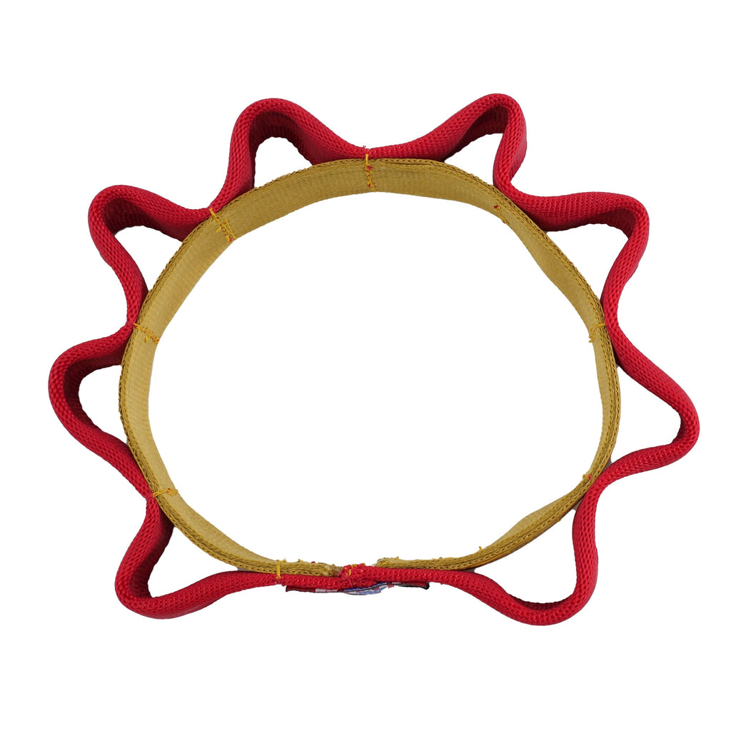Seatbelt 2 Tone Sprocket Tug Flyer by American Dog