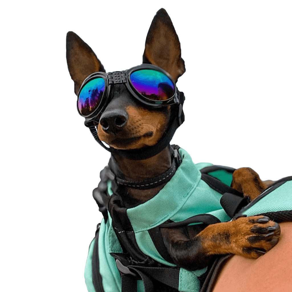 K9 Sport Shades - Dog Goggles by K9 Sport Sack