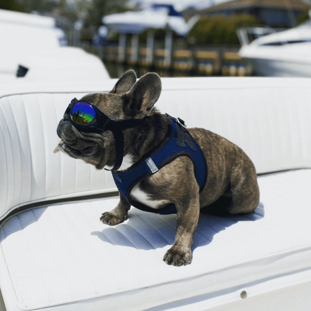 K9 Sport Shades - Dog Goggles by K9 Sport Sack