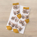 Sheer Cat Lover Socks Available in Yellow Green Red or Black [Fits Women's Size 5-9] by The Bullish Store