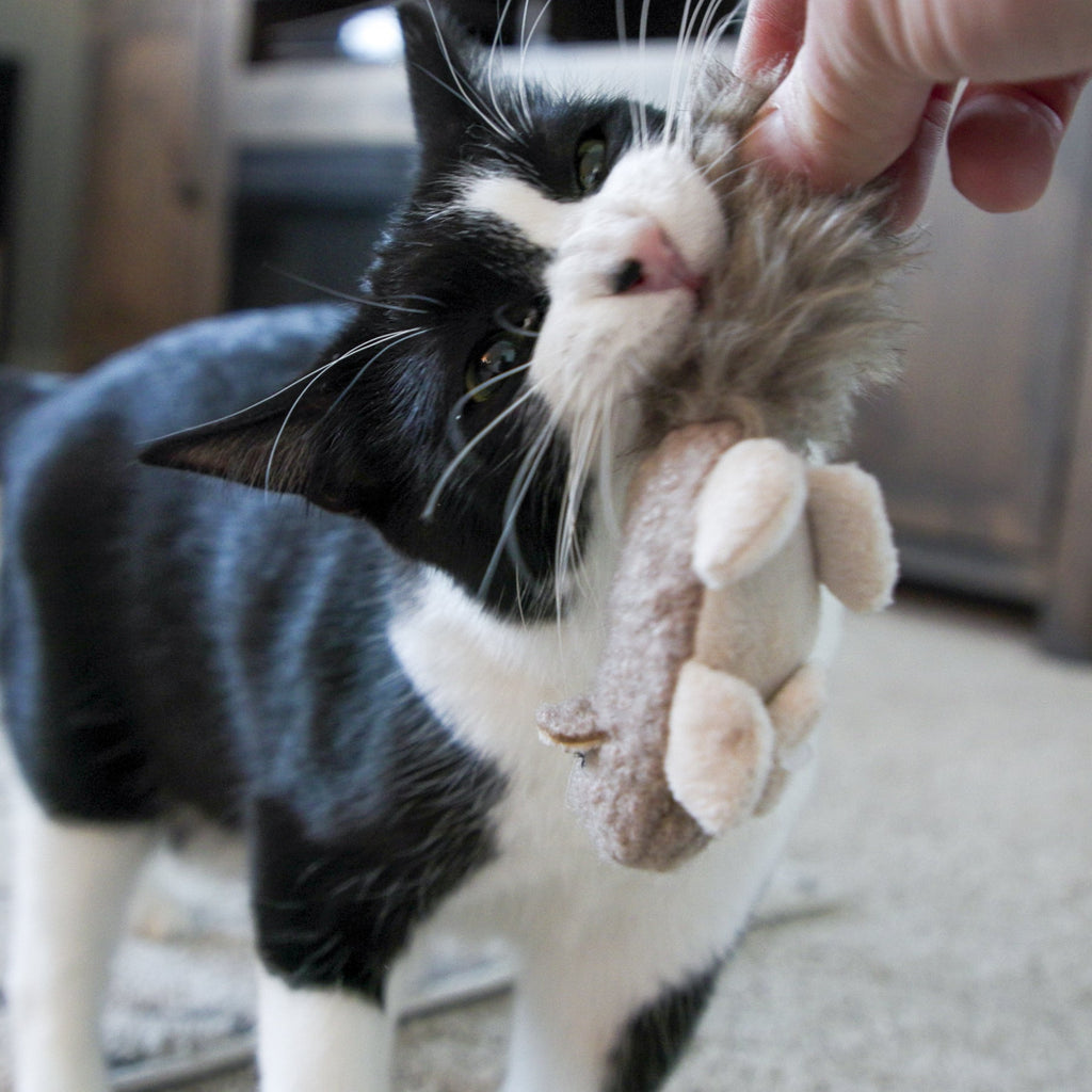 HuggleKats® Wee Fellar Squirrelie Cat Toy by HuggleHounds