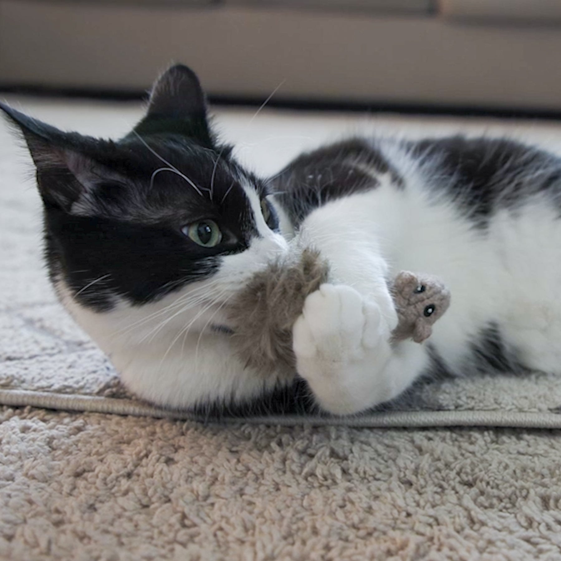 HuggleKats® Wee Fellar Squirrelie Cat Toy by HuggleHounds