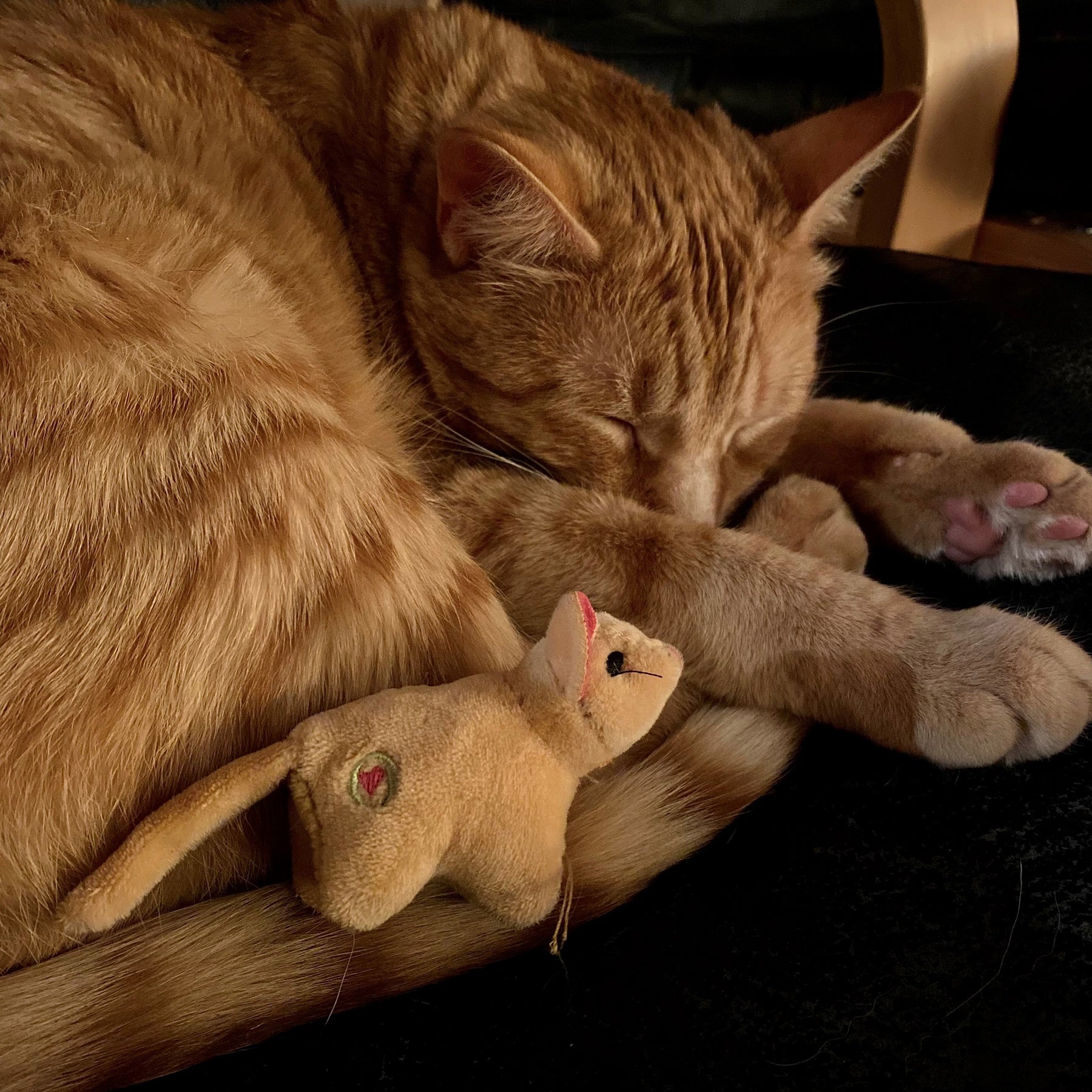 HuggleKats® Wee Squooshie™ Mice Cat Toys, 2 Pack by HuggleHounds
