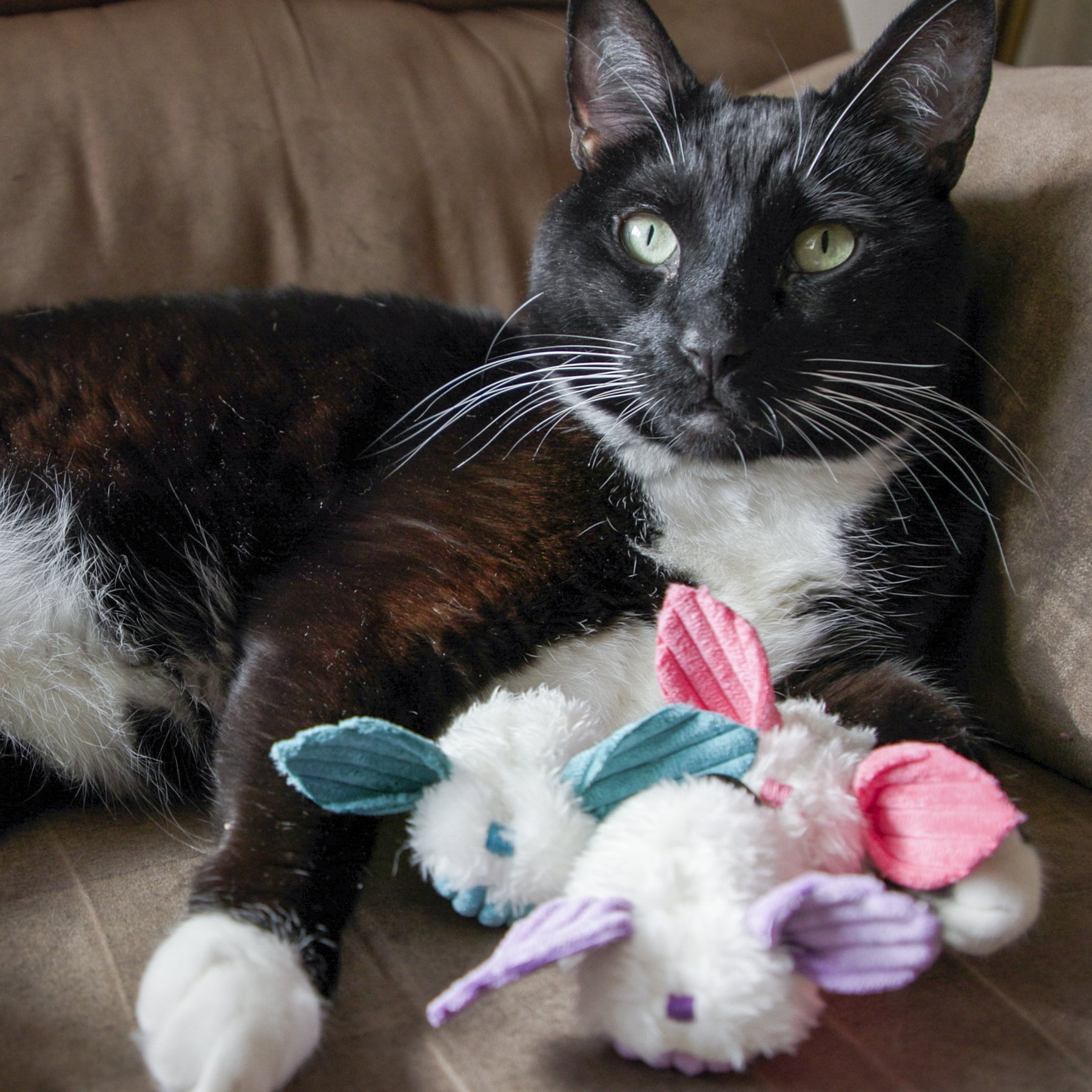 HuggleKats® Dust Bunnies Cat Toys, 3 Pack by HuggleHounds