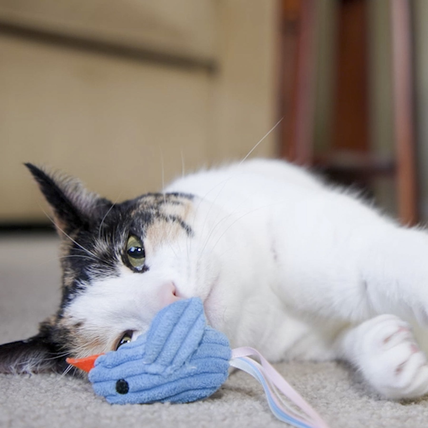 HuggleKats® Chickies Cat Toys, 3 Pack by HuggleHounds