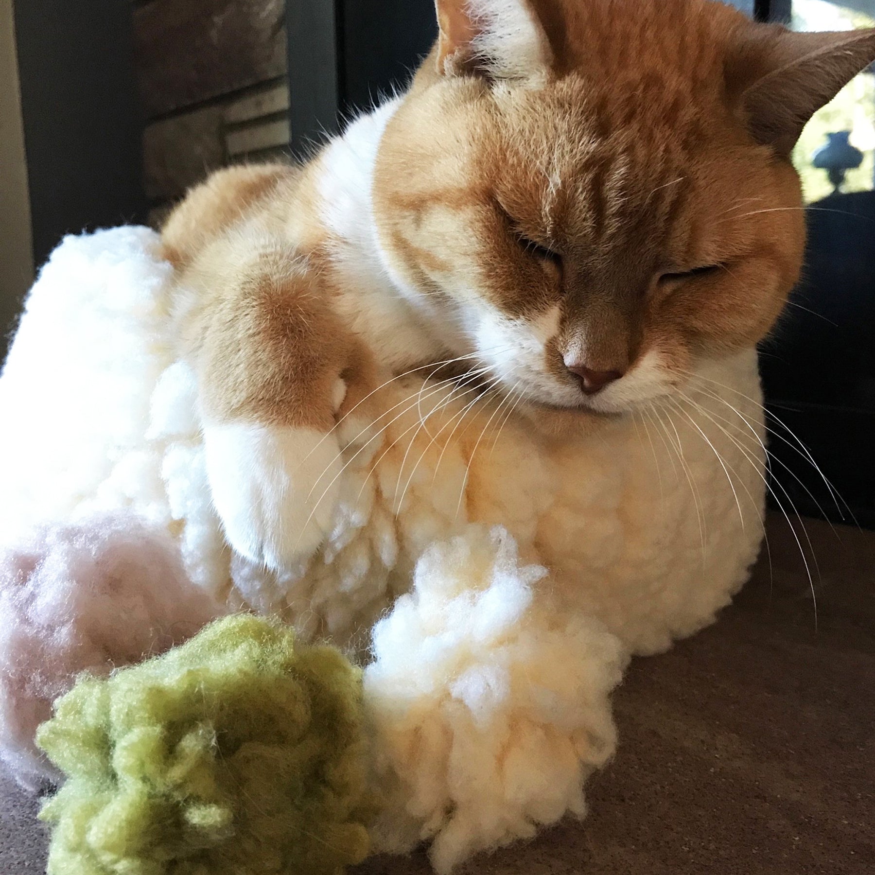 HuggleKats® FlufferFleece™ Ballies Plush Cat Toys, 3 Pack by HuggleHounds