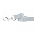 Silver Nylon Dog Leash by 2 Hounds Design