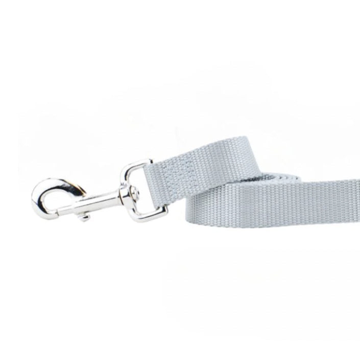 Silver Nylon Dog Leash by 2 Hounds Design