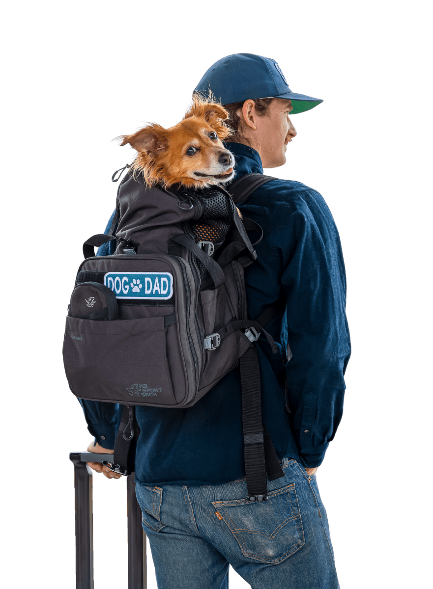 Sky Pack | Convertible Dog Backpack & Pet Carrier by K9 Sport Sack