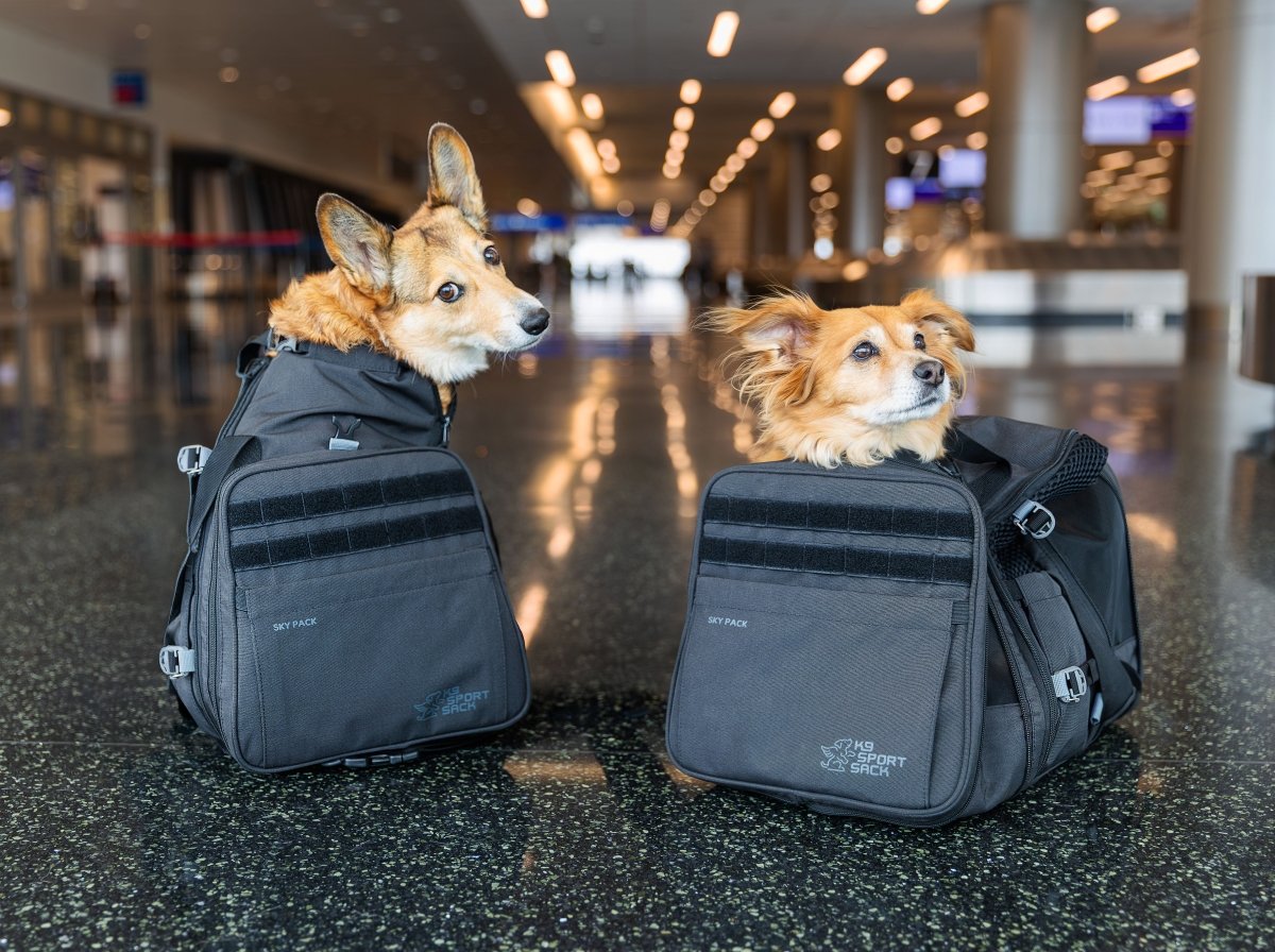 Sky Pack | Convertible Dog Backpack & Pet Carrier by K9 Sport Sack