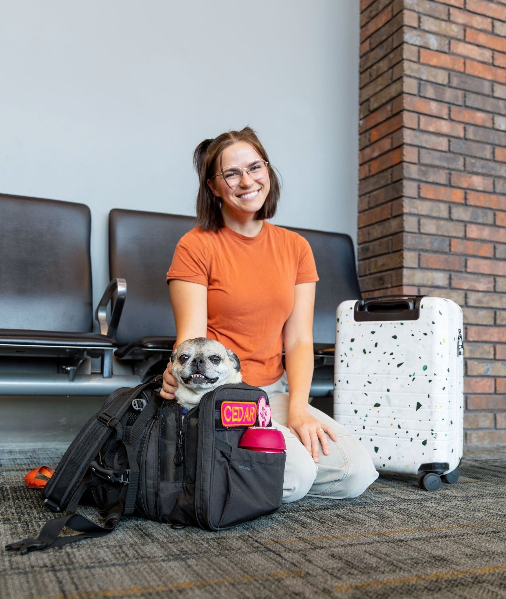 Sky Pack | Convertible Dog Backpack & Pet Carrier by K9 Sport Sack