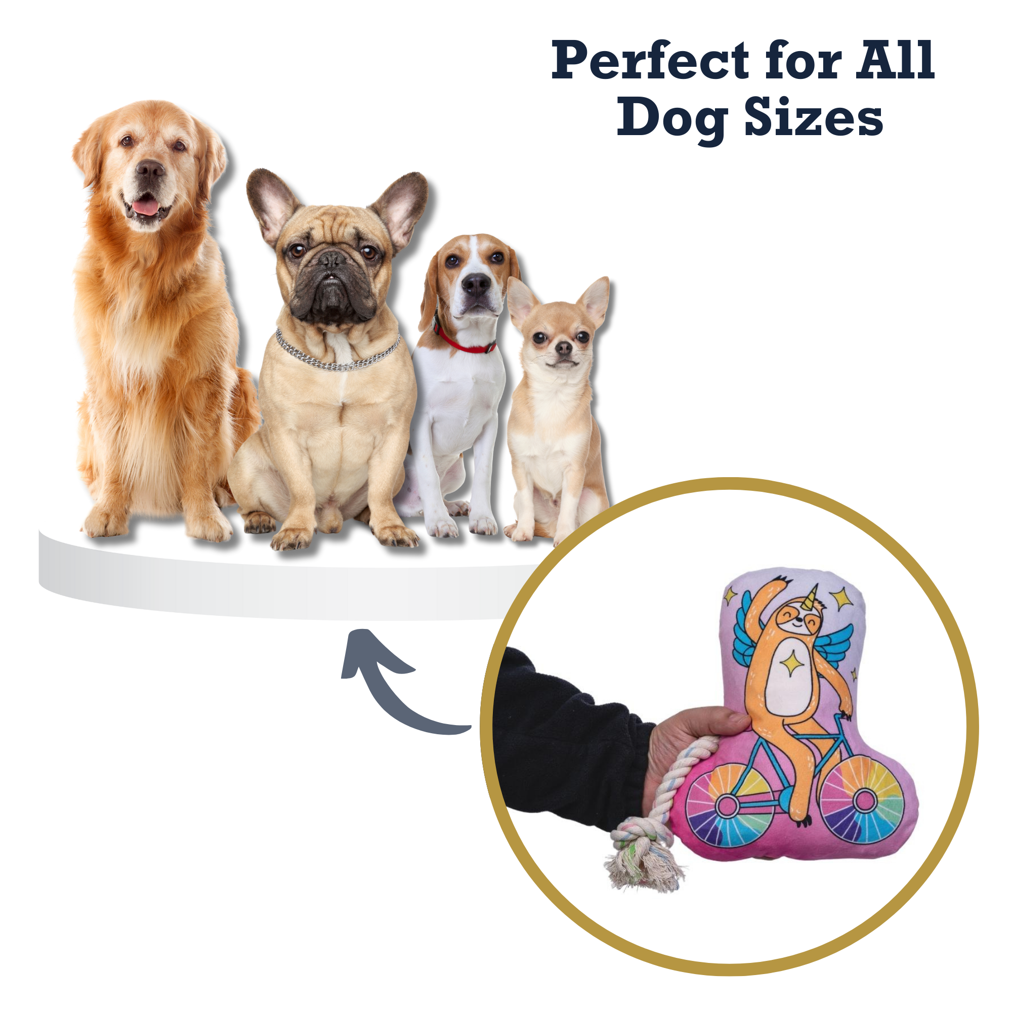 Slow Biker Plush Dog Toy – with Squeaker & Crinkle Paper for Fun Play by American Pet Supplies
