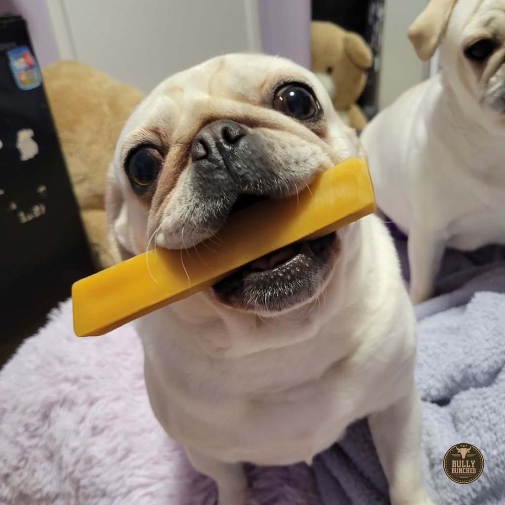 Himalayan Yak Chew (SMALL) by Bully Bunches