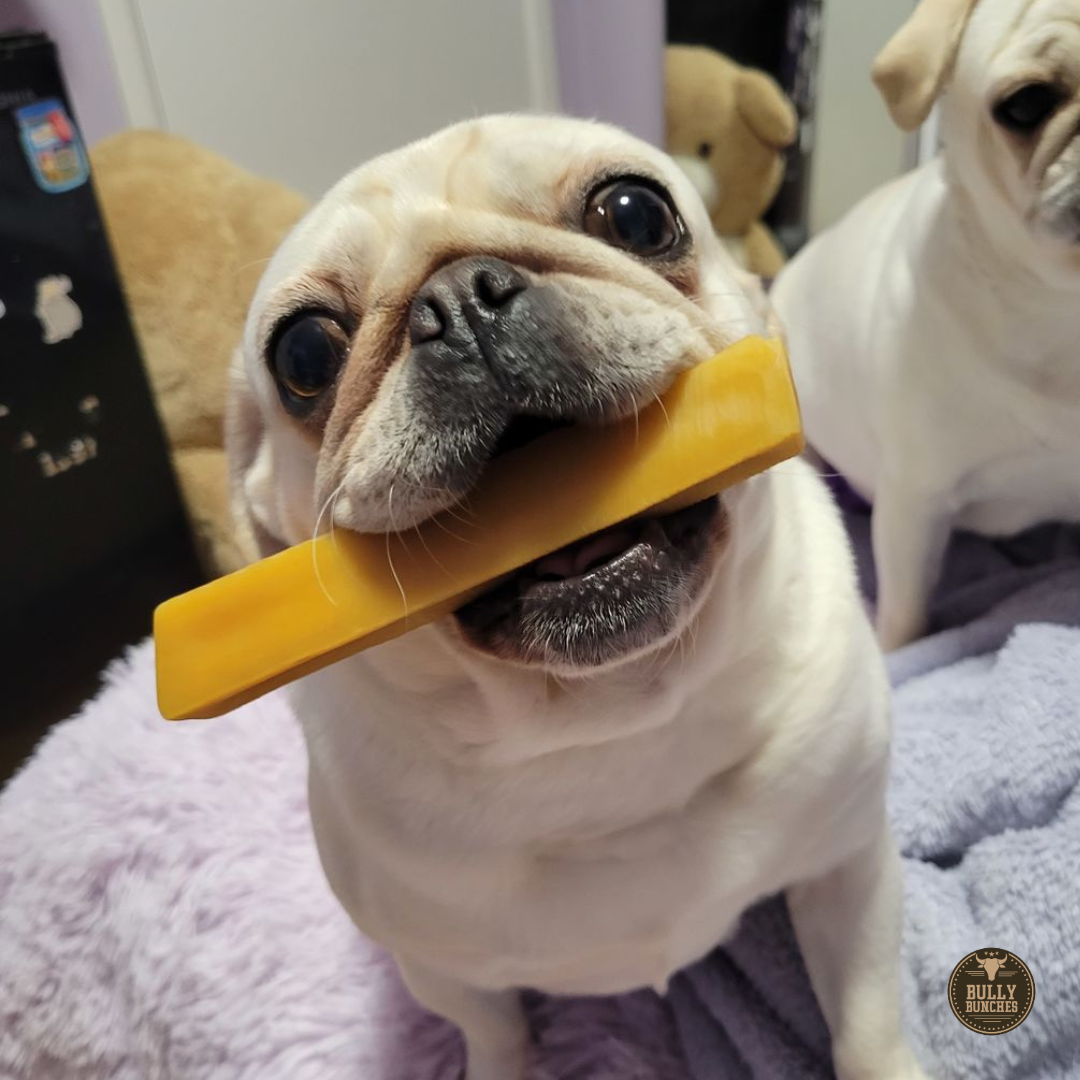 Himalayan Yak Chew (SMALL) by Bully Bunches
