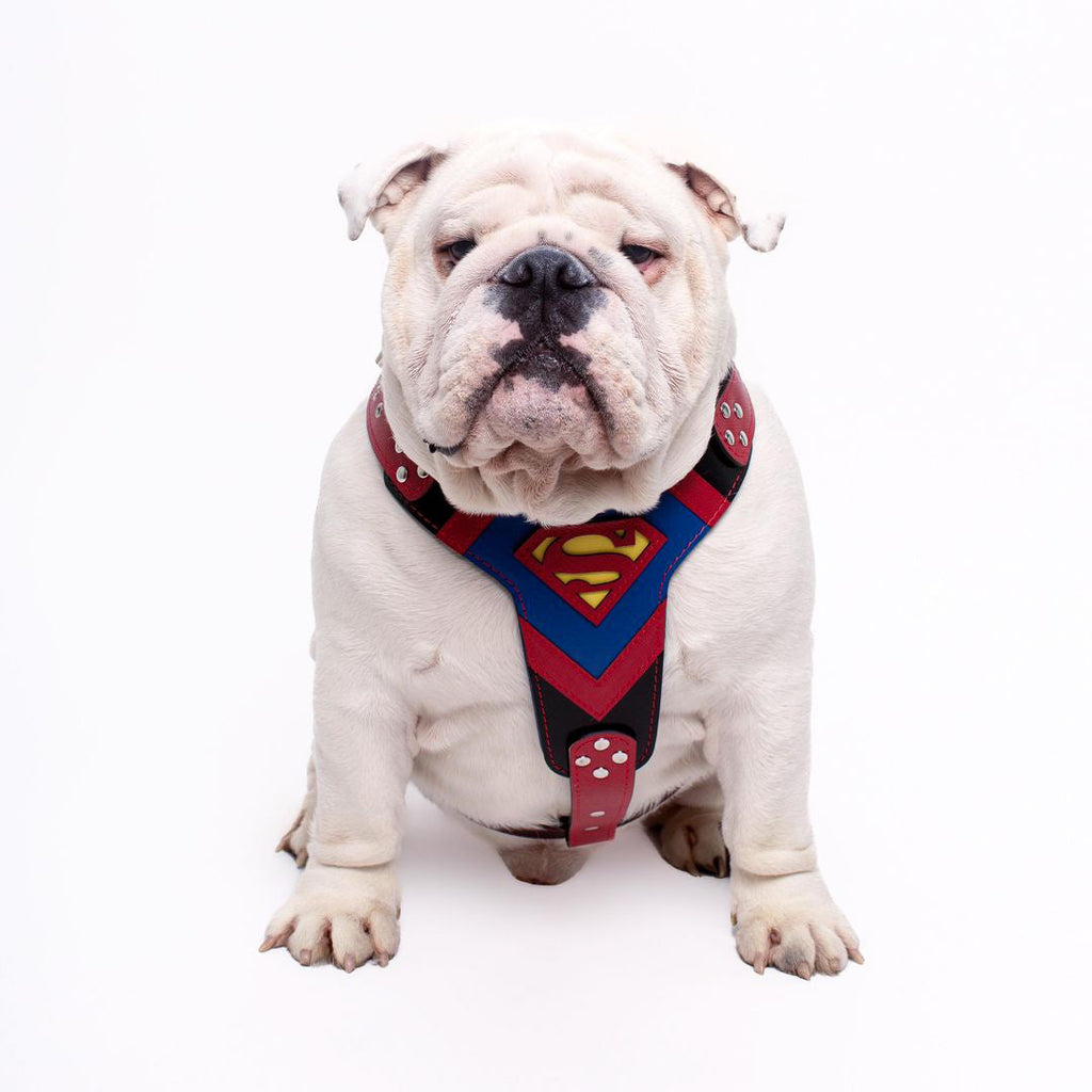 Superdog Harness Medium Size by Bestia Dog Gear
