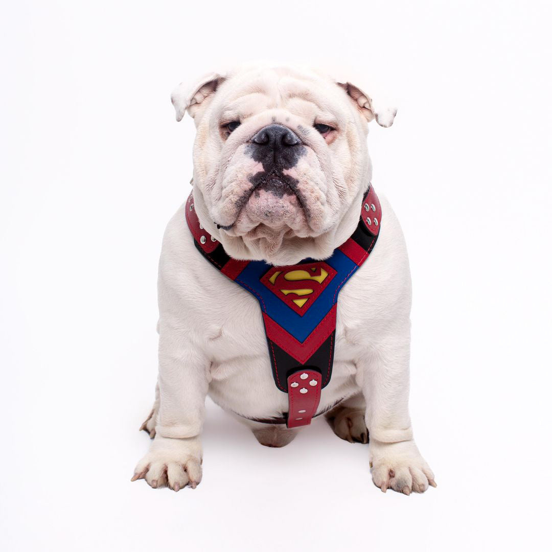 Superdog Harness Medium Size by Bestia Dog Gear
