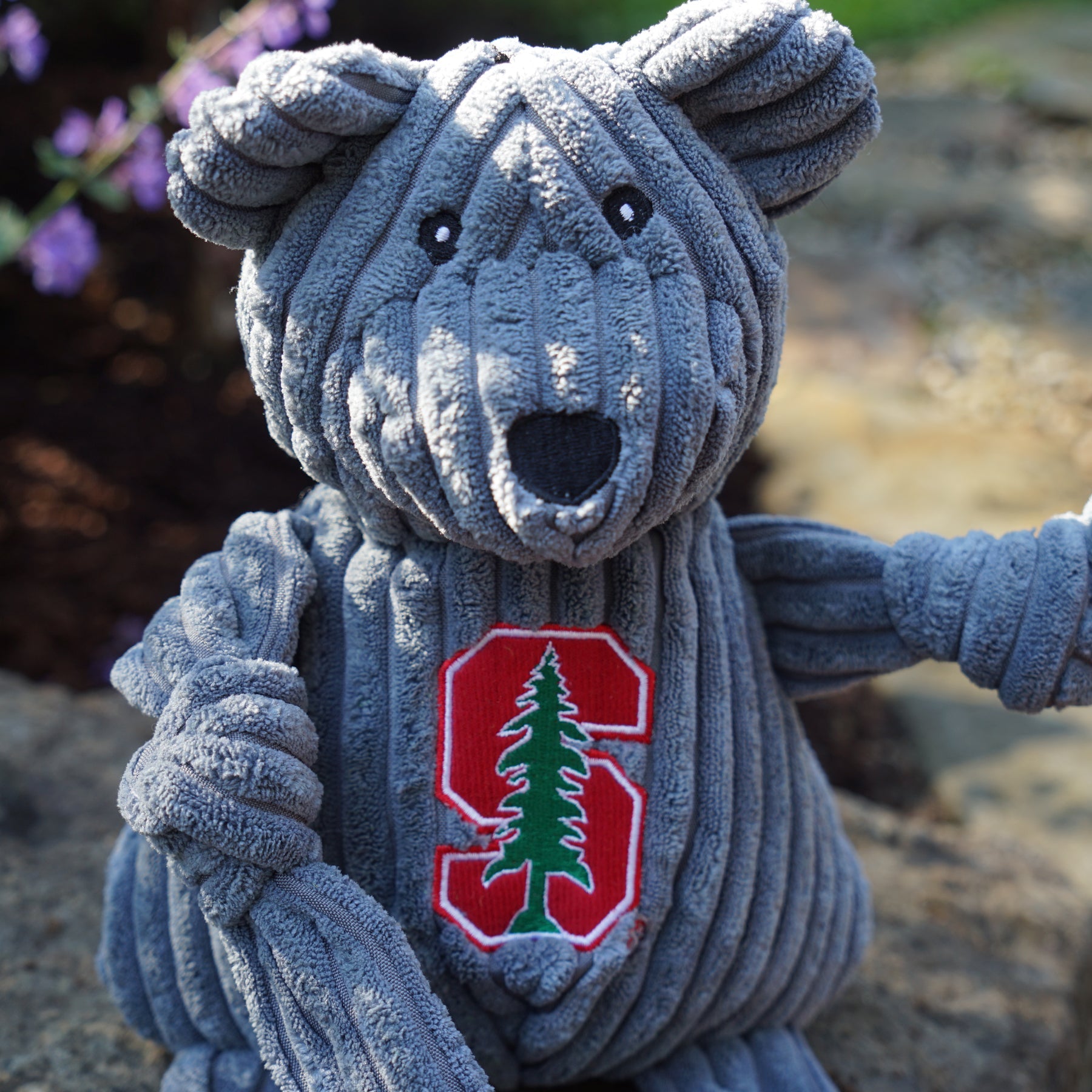 NCAA Stanford University, Stanford Tree Bear Knottie® Plush Dog Toy, Small by HuggleHounds