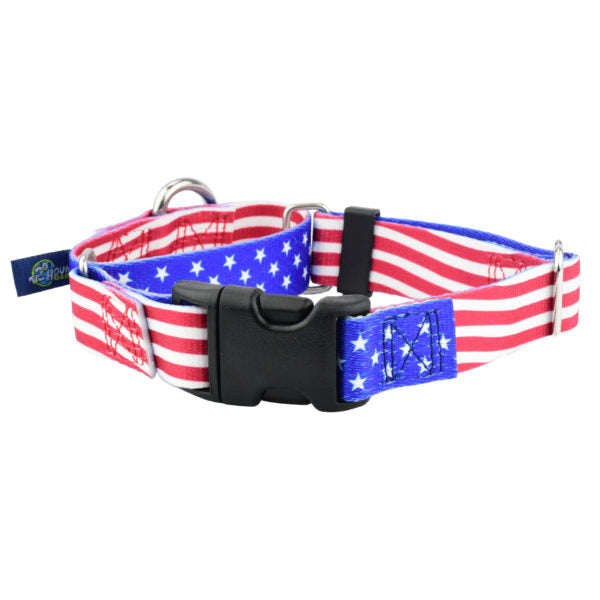 Star Spangled Buckle Martingale Dog Collar – EarthStyle by 2 Hounds Design