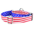 Star Spangled Martingale Dog Collar – EarthStyle by 2 Hounds Design