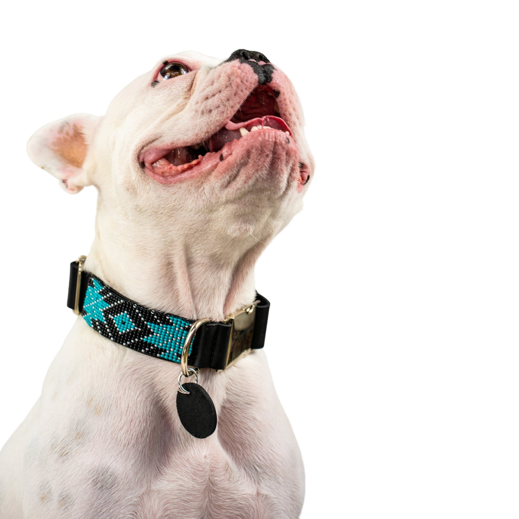 Saint Barth dog collar (quick release) by Sambboho
